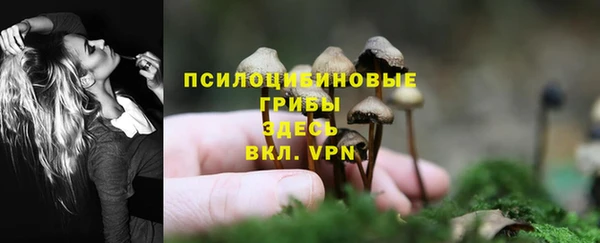 спиды Магадан